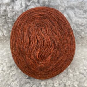 V4_0000_Y322_Hahtuvakiekko_ruoste_jpg